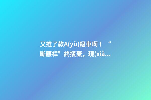 又推了款A(yù)級車??！“斷腰桿”終擯棄，現(xiàn)代這款很帥的三廂或8萬起？